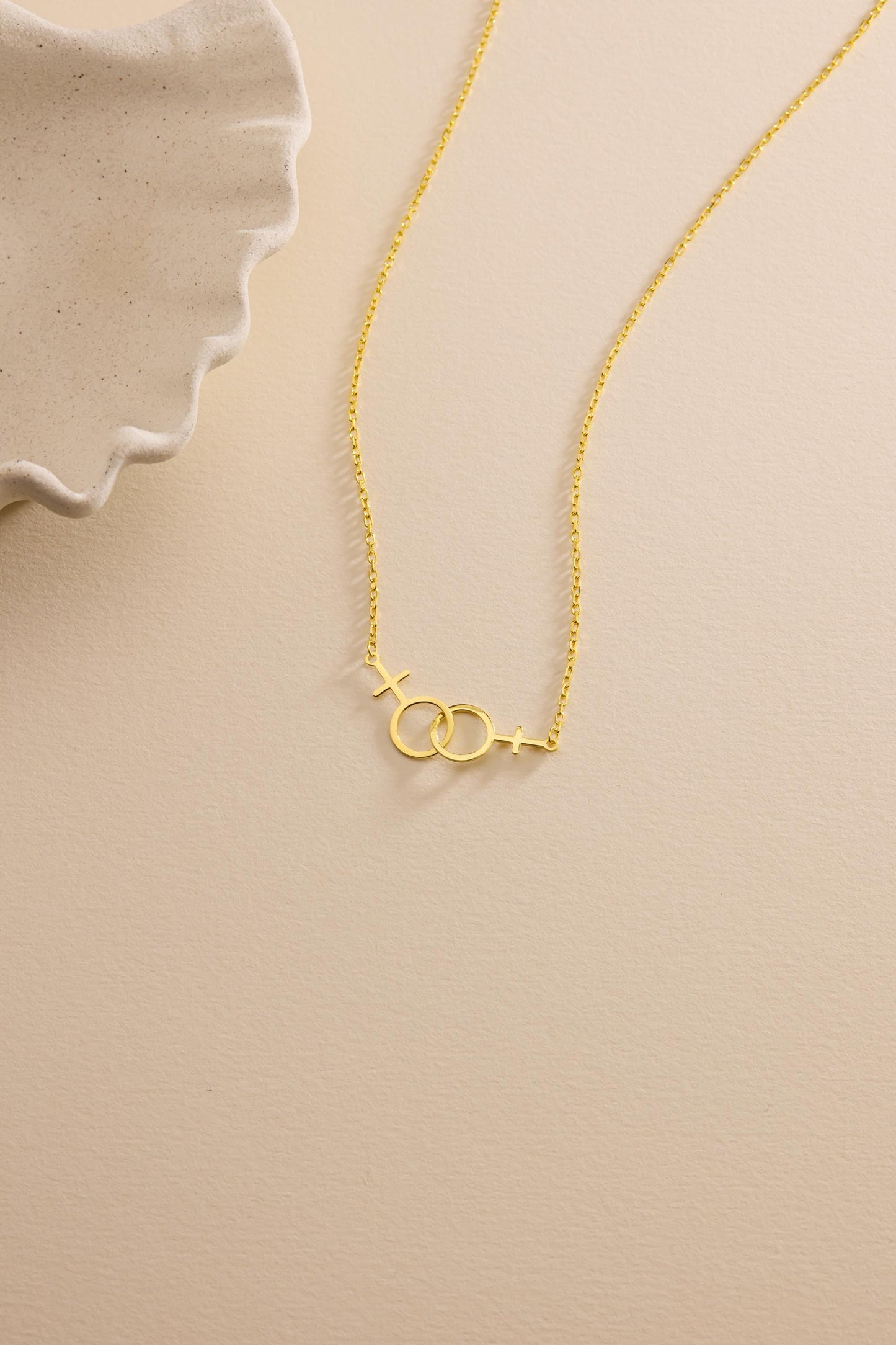 Double Venus Lesbian Necklace , Lesbian Pride Jewelry, Feminist Gay Jewelry, Transgender Gift for her, Rainbow Jewelry, Christmas Gift