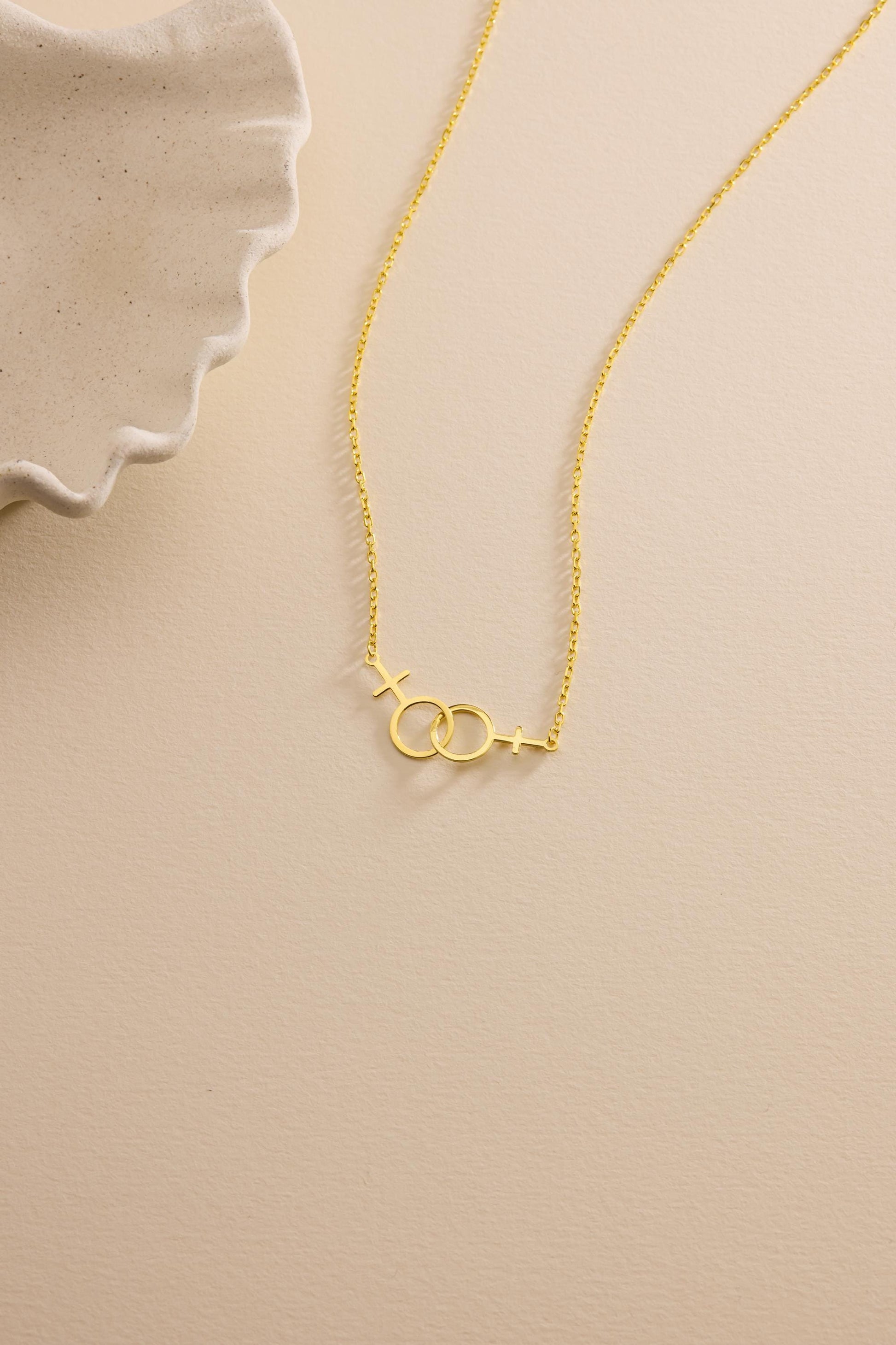 Double Venus Lesbian Necklace , Lesbian Pride Jewelry, Feminist Gay Jewelry, Transgender Gift for her, Rainbow Jewelry, Christmas Gift