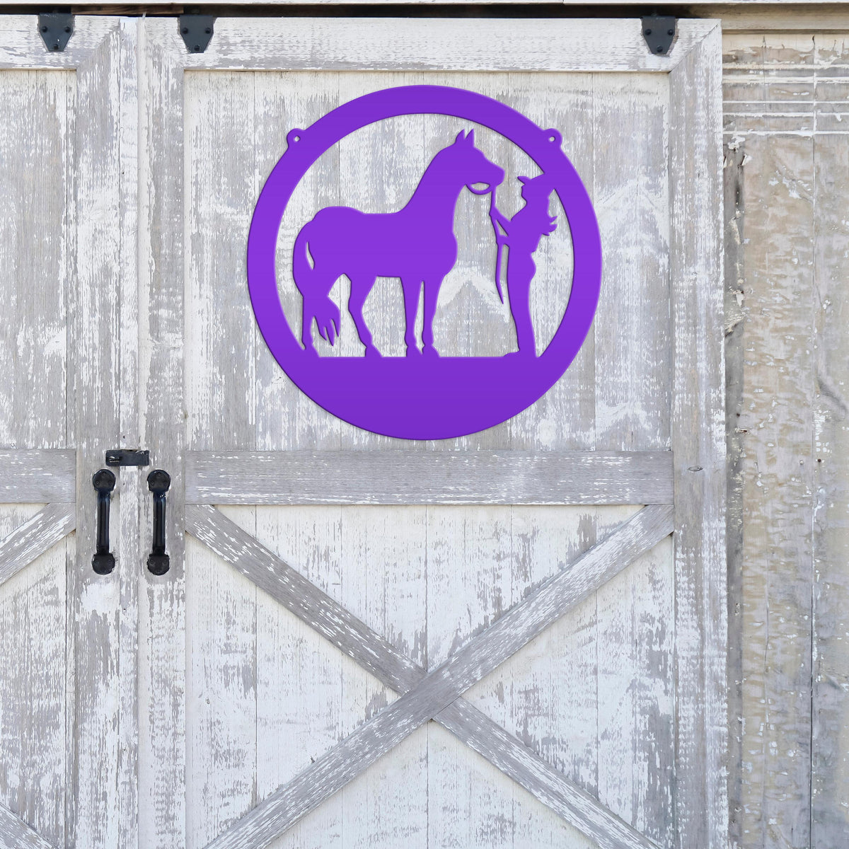 Metal Horse Stall Sign, Tennessee Walker Sign, Horse and Owner Sign
