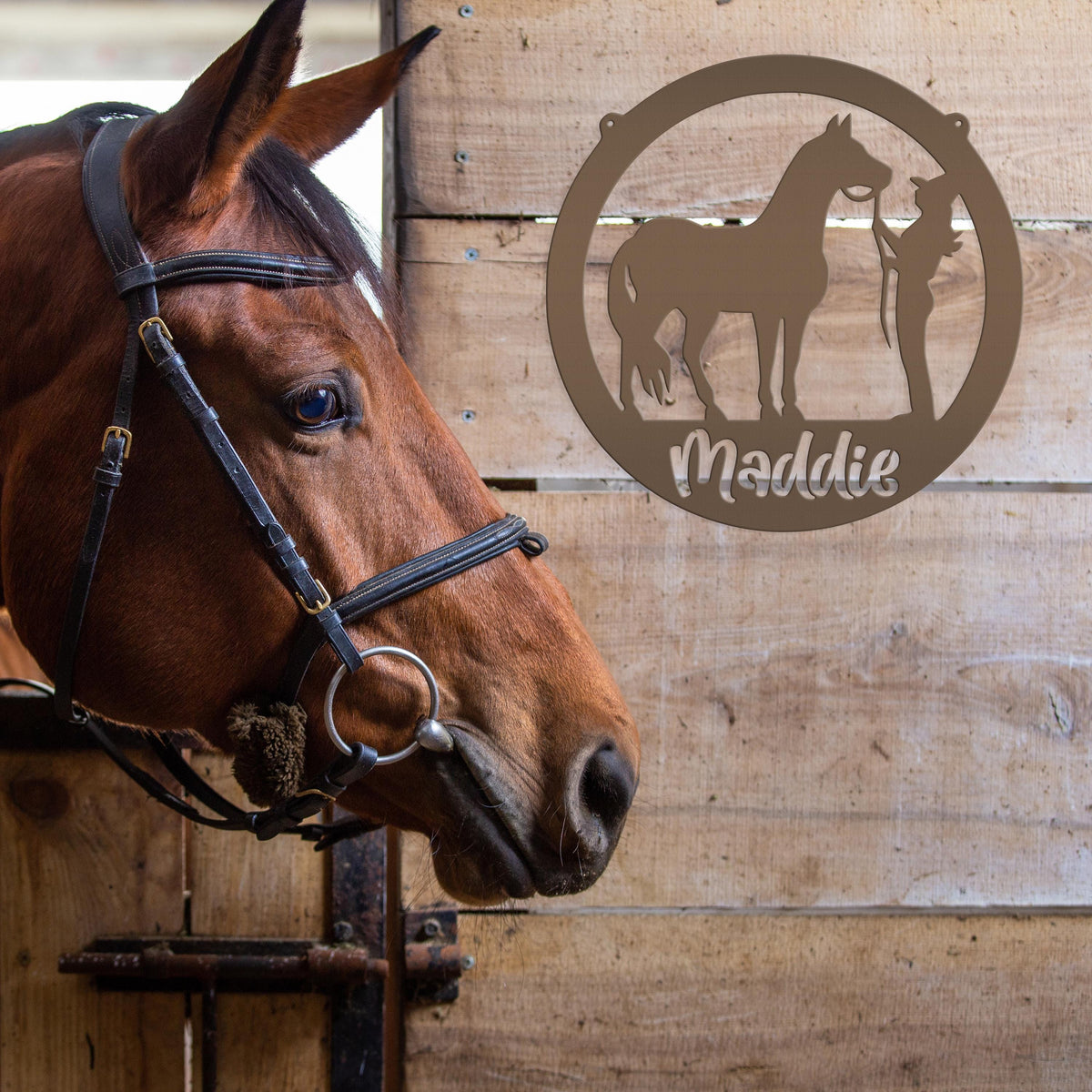 Custom Horse Name Metal Sign, Horse owner gift, Gift for barrel racer
