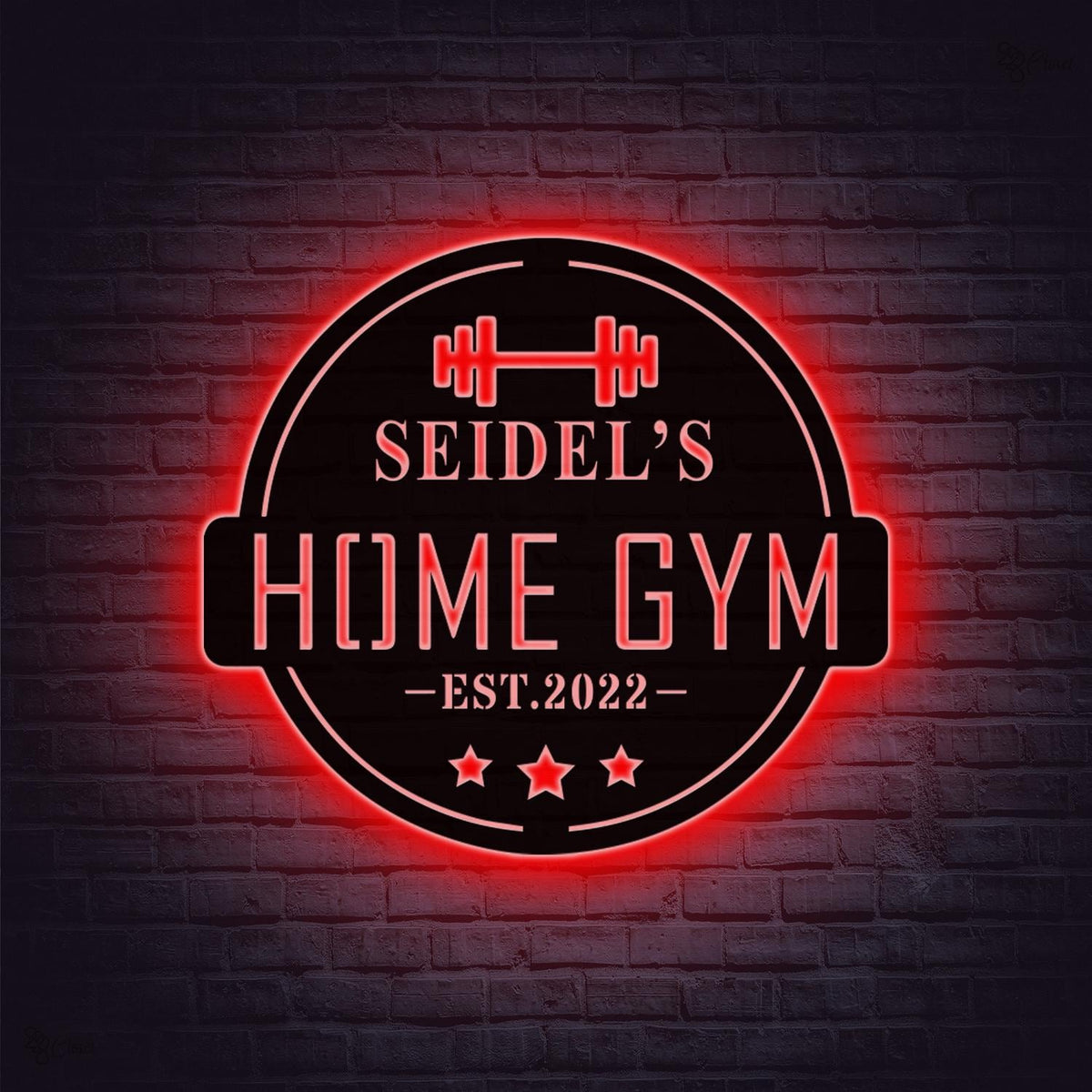 Personalized Female Metal Gym Sign LED Lights, Home Gym Decor, Fitness Wall Art, Metal Sign for Home Gyms, Metal Gym Sign